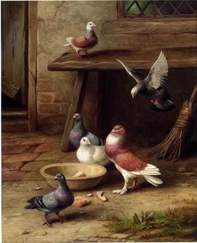 unknow artist Pigeons 194 oil painting picture